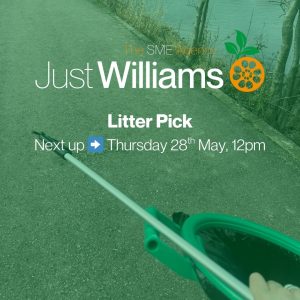 Litter Pick